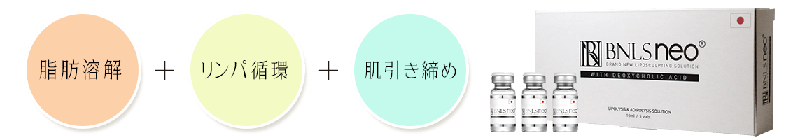脂肪溶解・リンパ循環・肌引き締め