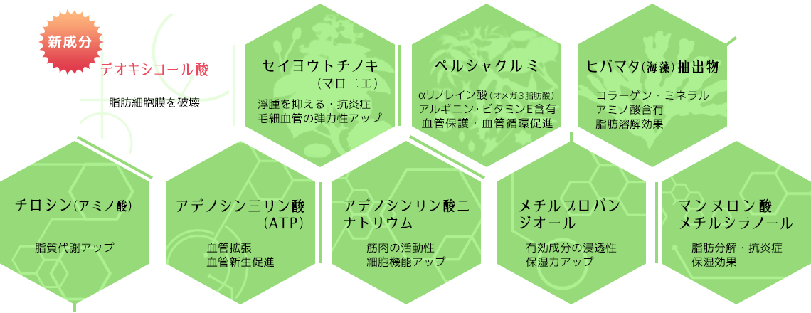 成分イメージ