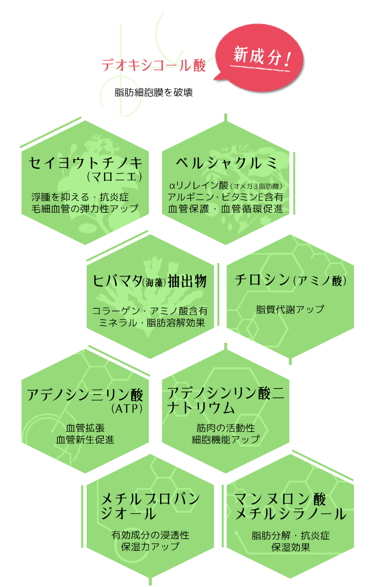 成分イメージ1