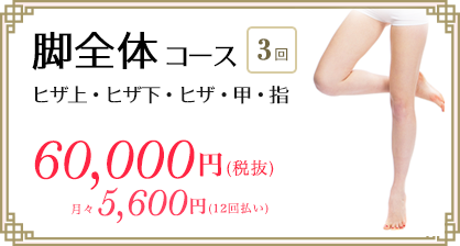 医療レーザー脱毛　脚コース