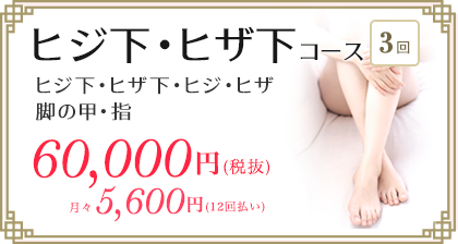 医療レーザー脱毛　ヒジ下ヒザ下コース