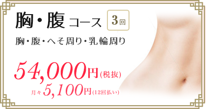 医療レーザー脱毛　胸腹コース