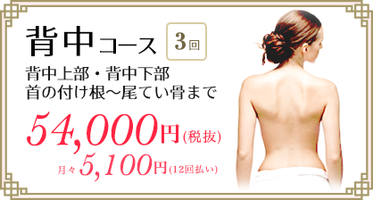 医療レーザー脱毛　背中コース