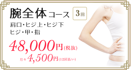 医療レーザー脱毛　腕コース