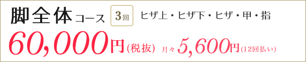 医療レーザー脱毛　脚コース