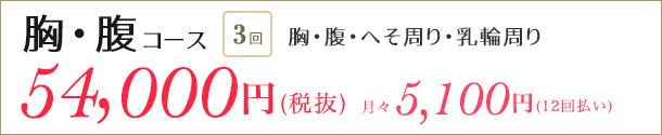 医療レーザー脱毛　胸腹コース