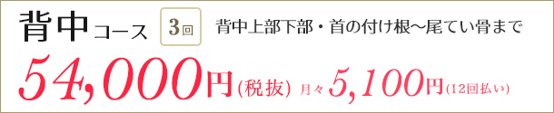 医療レーザー脱毛　背中コース