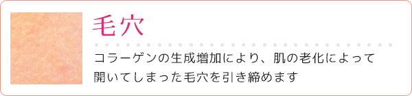 毛穴