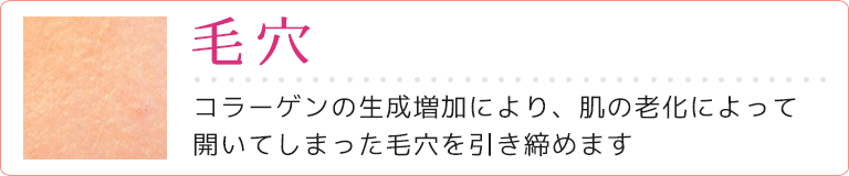毛穴