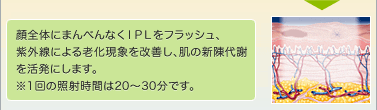 顔全体にまんべんなくIPLをフラッシュ、紫外線による老化現象を改善し肌の新陳代謝を活発にします。※1回の照射時間は20〜30分です。